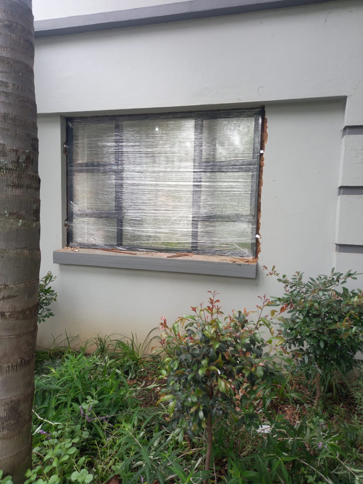 WhatsApp Image 2026-01-27 at 11.06.00 (1)